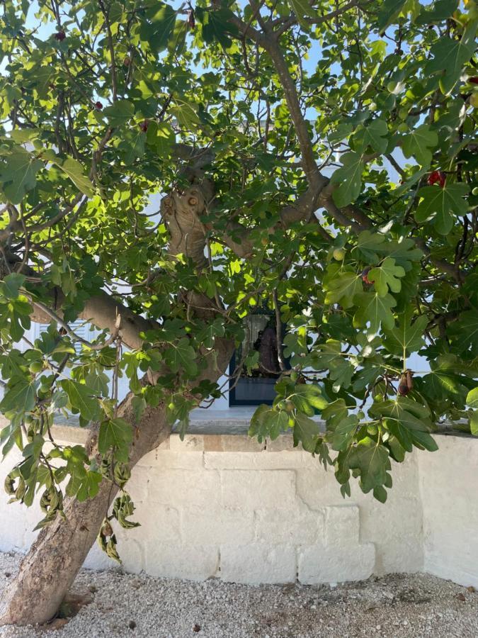 I Tre Coni By Acqua Di Puglia Bed & Breakfast Locorotondo Exterior photo
